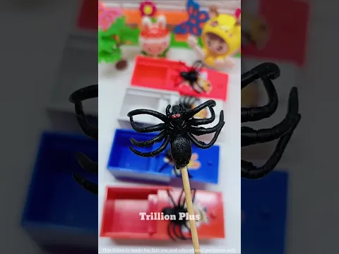 spider ka ghar 😂 #Catsoftiktok​ #CatLovers​ #cat​ #cute​ #FunnyCats​ #catcartoon​ #fyp​ #shorts​