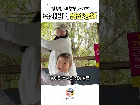 반전 정체