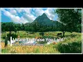 Download Lagu I Want To Praise You Lord Maranatha Singers with Lyrics (HD)