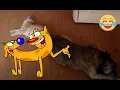 Hell CatDog Part 1