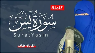 القارئة عفاف سورة يس مكتوبة كاملة Afaf Quran Surat Yasin 