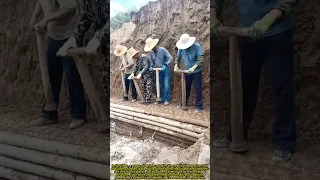 Traditional Workers Build Earthen Walls With Ancient Skill 