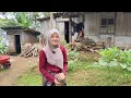 Download Lagu KEHIDUPAN JANDA MUDA CANTIK MANTAN BIDUAN DANGDUT DI RUMAH TERPENCIL PINGGIR HUTAN