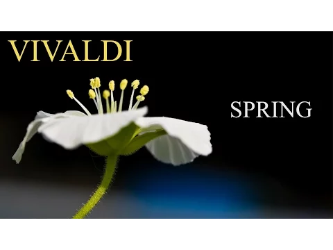 Download MP3 VIVALDI The Four Seasons Spring \