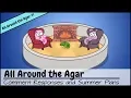 Are There Two Amoeba Sisters and Other Comment Responses