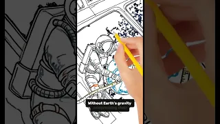 Space Makes You Taller But Only While You Re Up There 