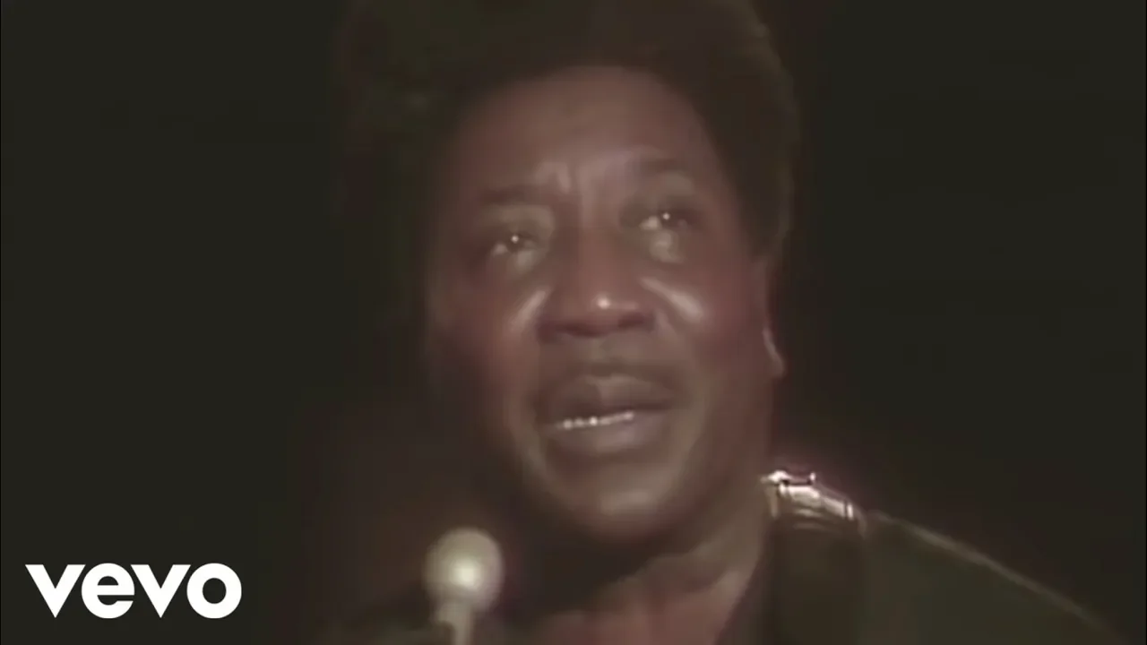Muddy Waters - Hoochie Coochie Man (Live) Muddy Waters - Hoochie Coochie Man (Live)
