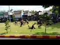 Download Lagu BINTARA REMAJA SAT BRIMOBDA BALI ORIENTASI DI BATALYON C PELOPOR GILIMANUK