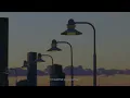Djo - Love Can't Break The Spell (Official Visualizer)