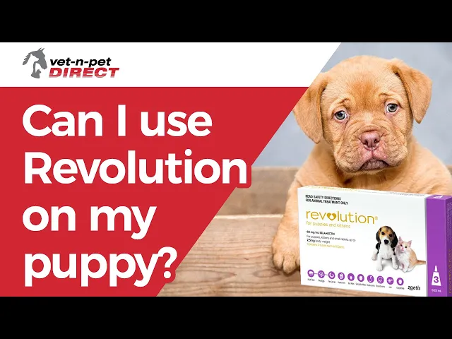 REVOLUTION for Puppies & Kittens 0-2.5kg 3's