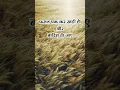 Download Lagu Kisan Divas Ki Hardik Shubhkamnaen | Kisan Diwas Status 2025 #shorts #kisandiwas
