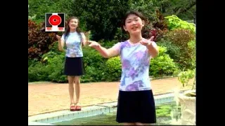 蔡可欣 李慧君 新年歌儿大家唱 双凤禧春乐年年 Official MV 