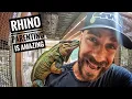 Rhino Iguanas Ain t Easy