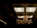 Download Lagu Cinema Bizarre - Escape To The Stars