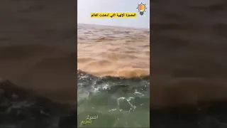 معجزة الله في البحر مرج البحرين يلتقيان البرزخ Shorts  معجزة الله في البحر مرج البحرين يلتقيان البرزخ Shorts
