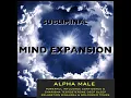 Drop The Inner Critic - Solfeggio 528 Hz