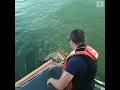 Members of Coast Guard help rescue 200-pound loggerhead turtle trapped in line ABC News