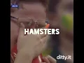 Lagu xhamster does not have hamsters