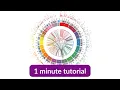 How to make this circos plot in 1 minute