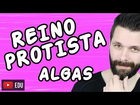 Download MP3 ALGAS - REINO PROTISTA - PROTOCTISTA - Aula completa | Biologia com Samuel Cunha