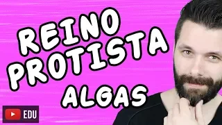 ALGAS - REINO PROTISTA - PROTOCTISTA - Aula completa | Biologia com Samuel Cunha