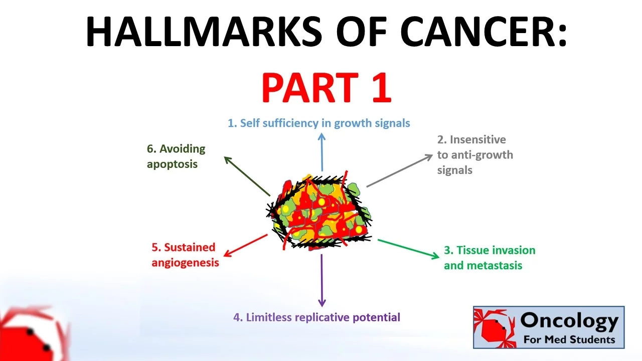 4. Hallmarks of Cancer (part 1)