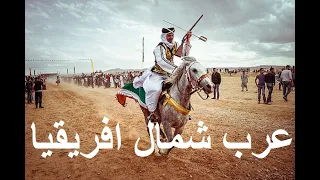 قلبي تفكر عرب شمال افريقيا 