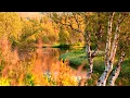 Download Lagu Beautiful Relaxing Music, Peaceful Instrumental Music, \