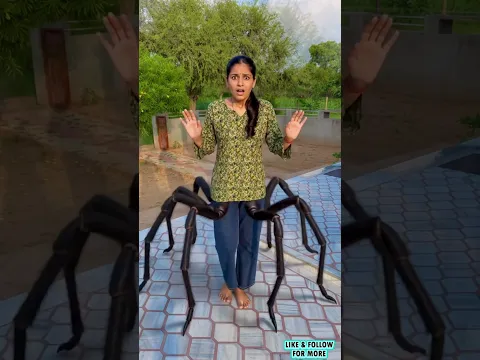 Ram bhakt ki kahani 🚩🙏🏼 | Ram ji status | jai shree ram | spider 🕷️ 😂 #shorts #youtubeshorts