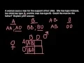 How to solve ABO blood group problems