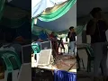 Download Lagu Lagu Simalungun bunga Rampei