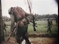 Gimme Shelter Vietnam War