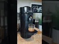 Dutch bros golden eagle