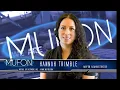 MUFON Florida presents Michael Schratt - Crash Retrievals of the Third Kind
