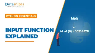 User Input function in Python Python Tutorial