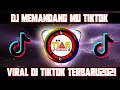 Download Lagu DJ Memandangmu Remix Viral Tiktok Terbaru 2021 Full Bass