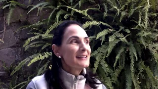 Catequesis de la Teología del Cuerpo #24 / Cristo apela al corazón del ser humano