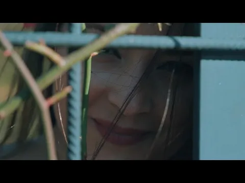 Fujifilm XT3 Cinematic Video | Rose in the Garden | XF 16-55mm F2.8