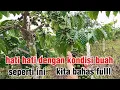 Download Lagu hasil penyunatan bahan bo kopi ketika pemyambungan nya telat di bulan 4'5'6'7'8