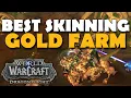 BEST SKINNING GOLD FARM In Dragonflight WoW