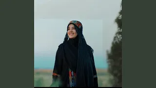 يا حمام يا طاير فوقي بدون موسيقى 