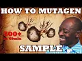 How To Mutagen Sample