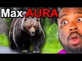 Download Lagu Animals with the MOST AURA
