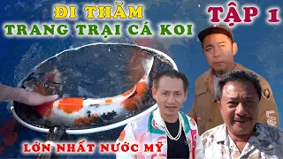 Trang Trại Cá Koi Lớn Nhất Nước Mỹ Của Alex Trí Ở Kentucky Hoa Kỳ | Tập 1 | MC Việt Thảo | cbl2001