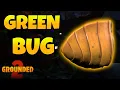 How to Get Green Shield Bug Parts in Grounded 2 Into The Abyss Update