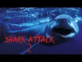 Download Shark Attack 2 - Full Movie mp4 3gp mp3 videos - waplic