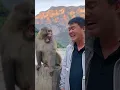 Download Lagu Monkey brother laughed so happily that he became a spirit