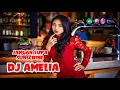 Download Lagu DJ AMELIA - DUNIA INI TIDAK AKAN BISA PARTY TANPA MUSIK REMIXER