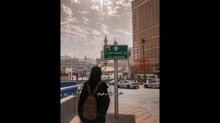 انشوده ليتني في سرب الحمام من أجمل الأناشيد اللي هتسمعها  انشوده ليتني في سرب الحمام من أجمل الأناشيد اللي هتسمعها