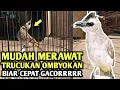Download Lagu CARA MERAWAT TRUCUK OMBYOKAN BIAR CEPAT GACOR